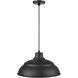 R Series 1 Light 17 inch Satin Black Pendant Ceiling Light